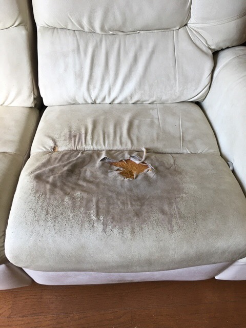 修理事例 横浜市椅子修理 椅子とソファーの張替え修理 ファニチャー リペア テーブル